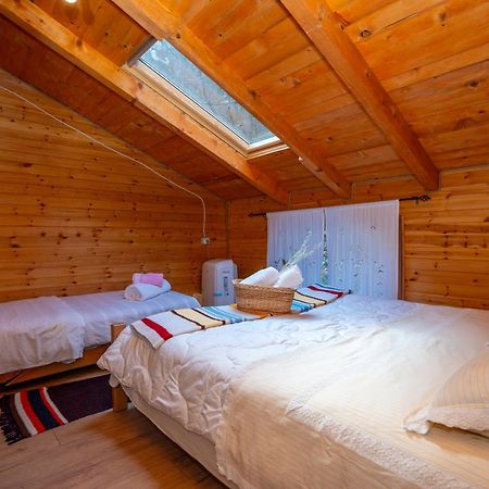 Bee Eco Guest House Moll' e Shoshit Luaran gambar