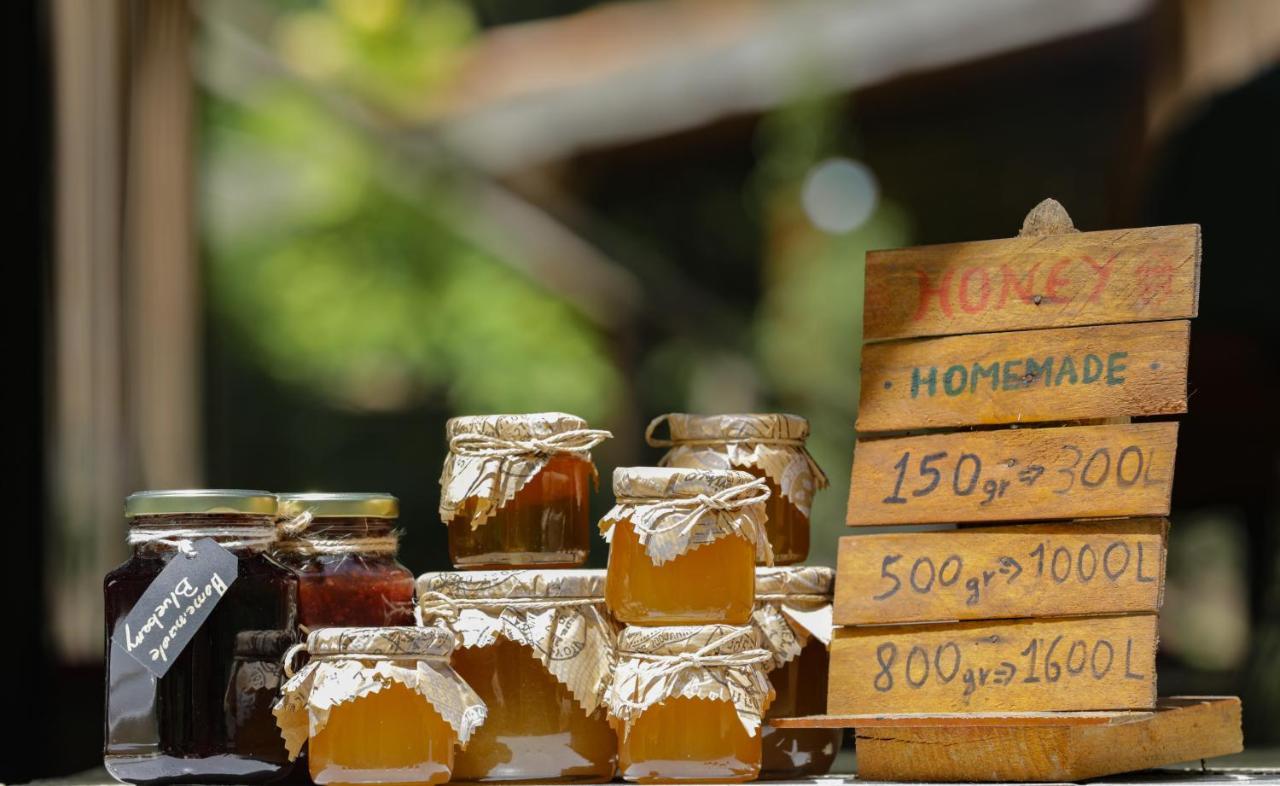 Bee Eco Guest House Moll' e Shoshit Luaran gambar