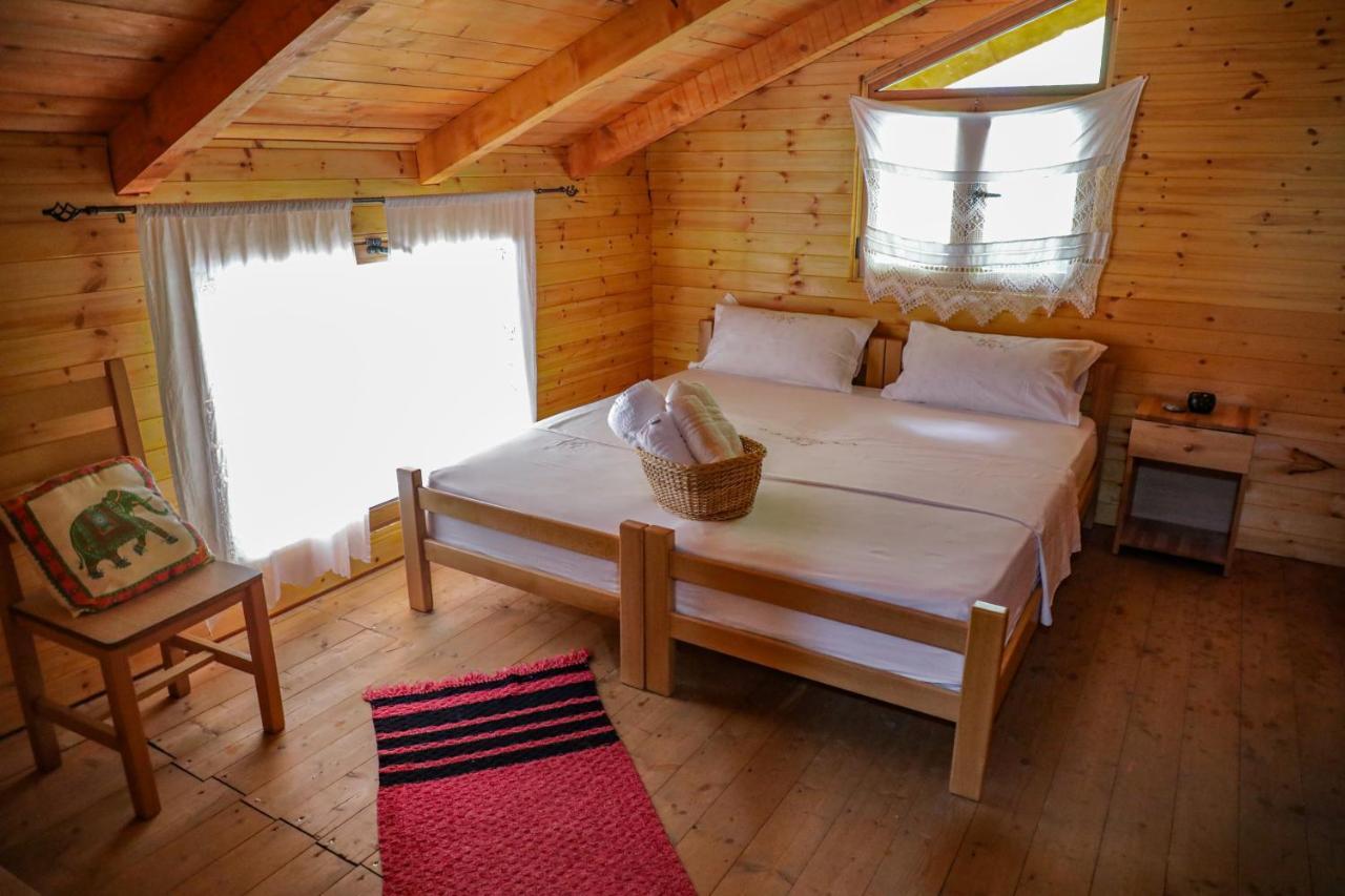 Bee Eco Guest House Moll' e Shoshit Luaran gambar