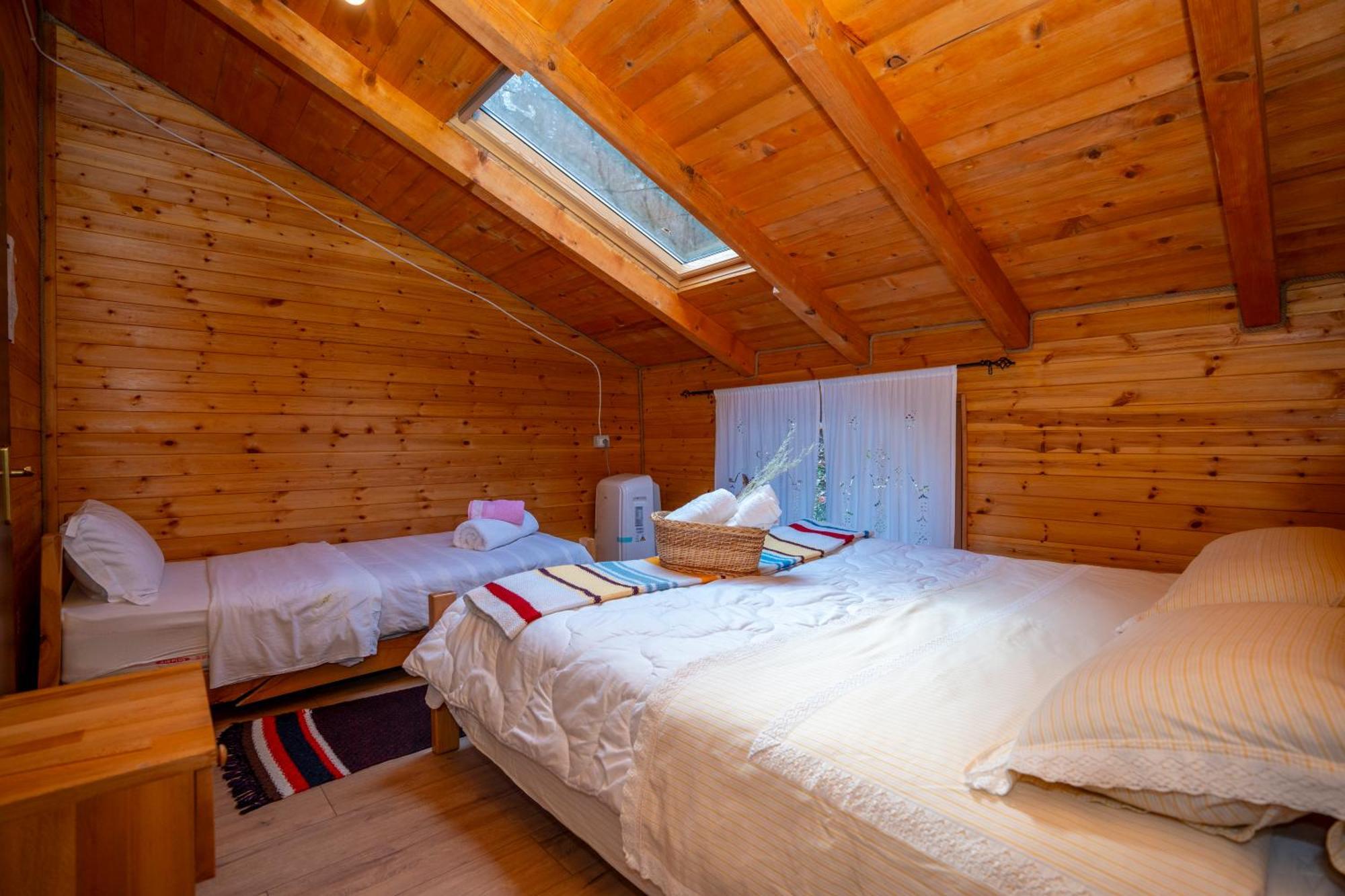 Bee Eco Guest House Moll' e Shoshit Luaran gambar