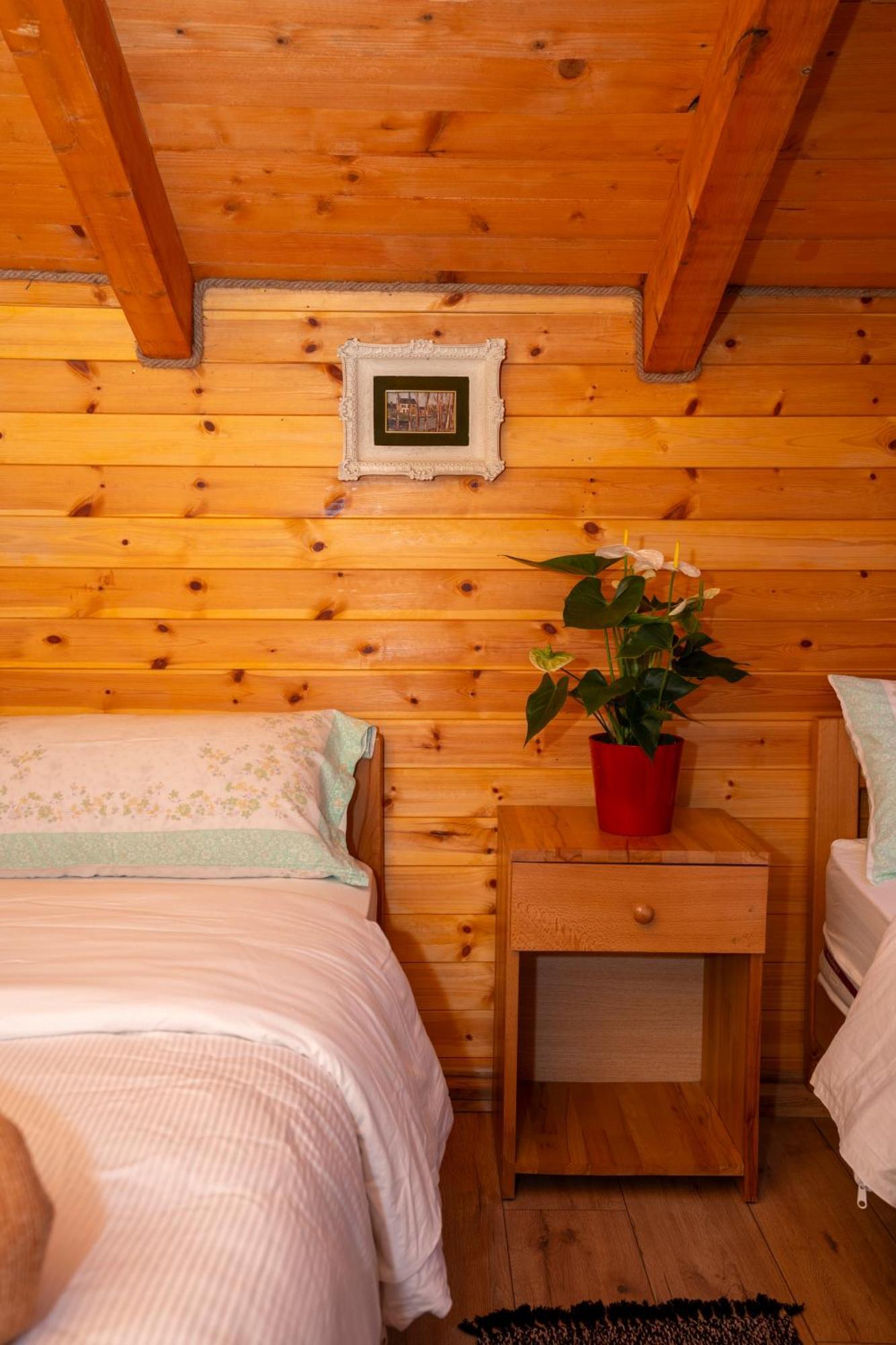Bee Eco Guest House Moll' e Shoshit Luaran gambar
