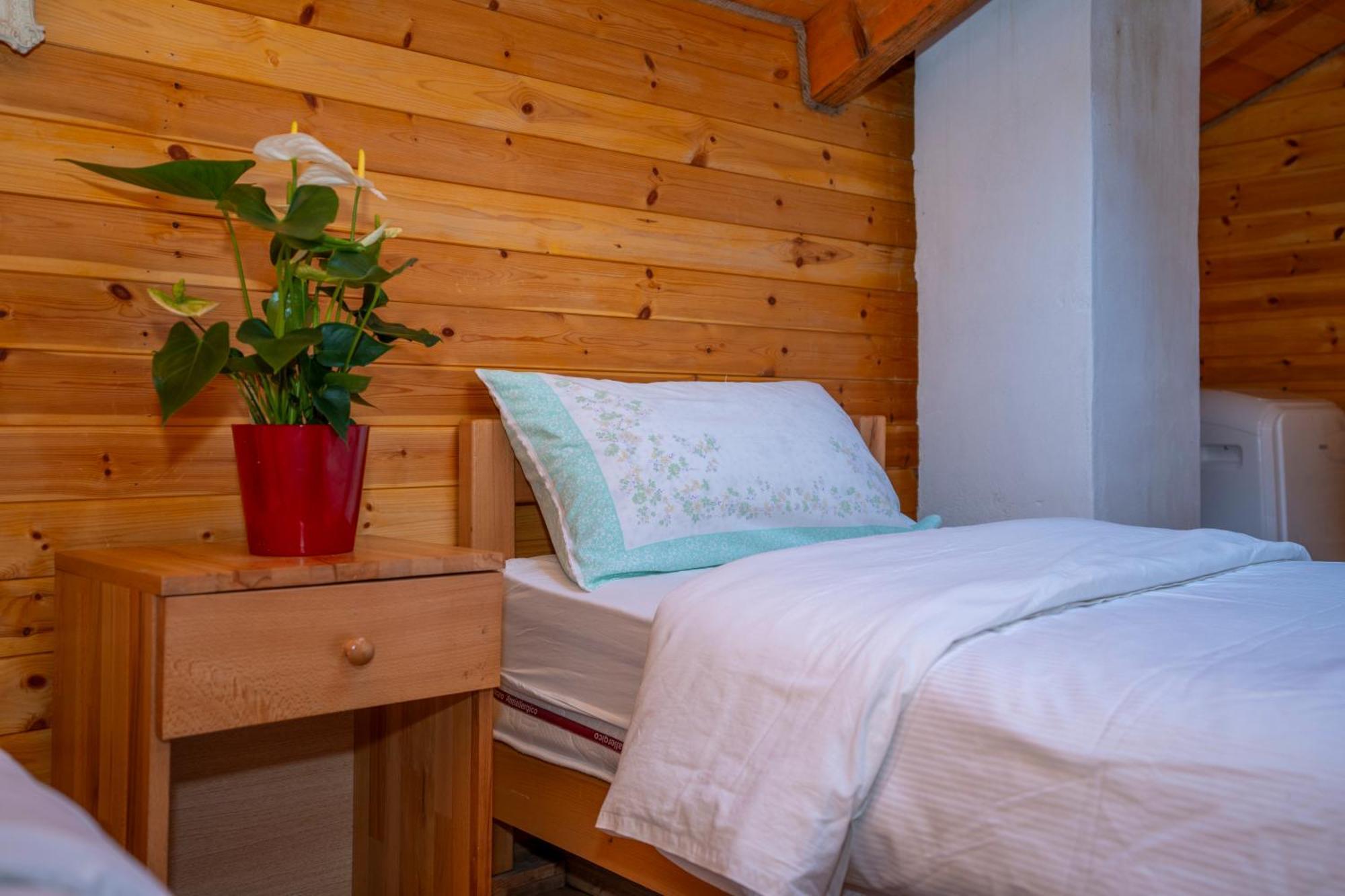 Bee Eco Guest House Moll' e Shoshit Luaran gambar